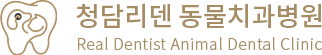 청담리덴동물치과병원