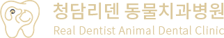 청담리덴동물치과병원