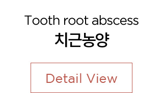치근농양