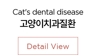 고영이치과질환