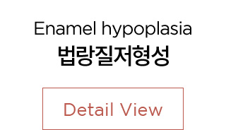 법량질저형성