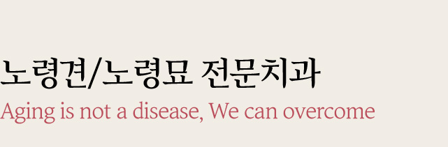 노령견/노령묘 전문치과