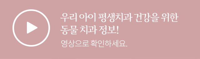 영상으로 만나보세요
