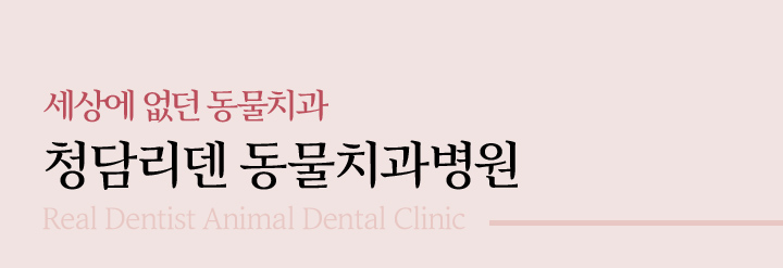 청담리덴 동물치과병원